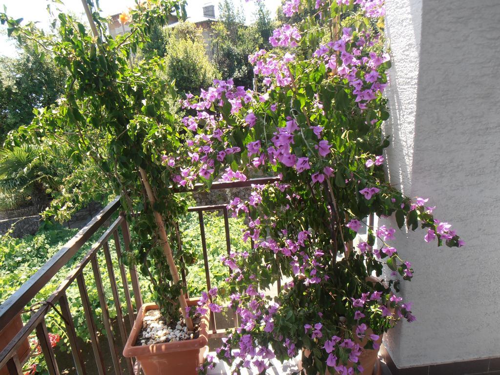 Guesthouse Villa Stanger Lovran Buitenkant foto